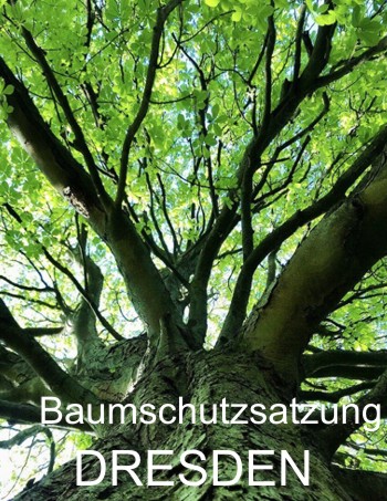 Baumschutzsatzung Dresden - Baumpflege Baumfällung