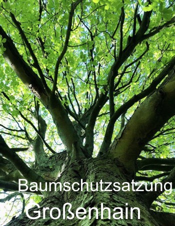 Baumschutzsatzung Großenhain - Baumpflege Baumfällung