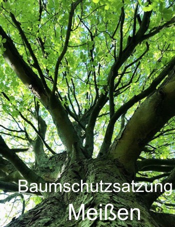 Baumschutzsatzung Meißen - Baumpflege Baumfällung