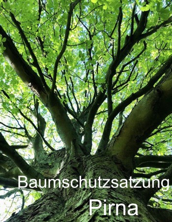 Baumschutzsatzung Pirna - Baumpflege Baumfällung