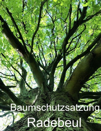 Baumschutzsatzung Radebeul - Baumpflege Baumfällung
