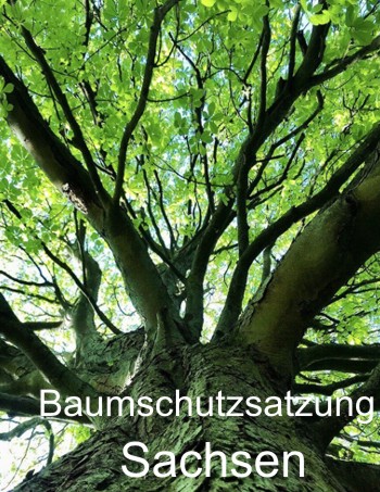 Baumschutzsatzung Sachsen - Baumfällung